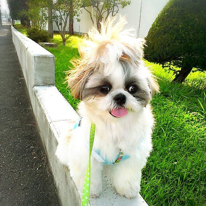 02f46804 7e00 4d49 a592 d1954bd42666