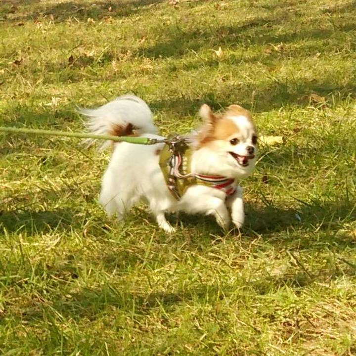 02f4918a 20b1 4f0d a5e8 f9a75de193c3