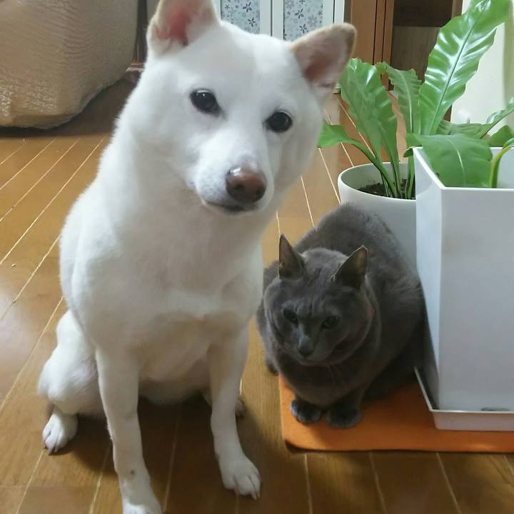 02f4a2e6 1f3a 4798 be03 0d2ab118e963