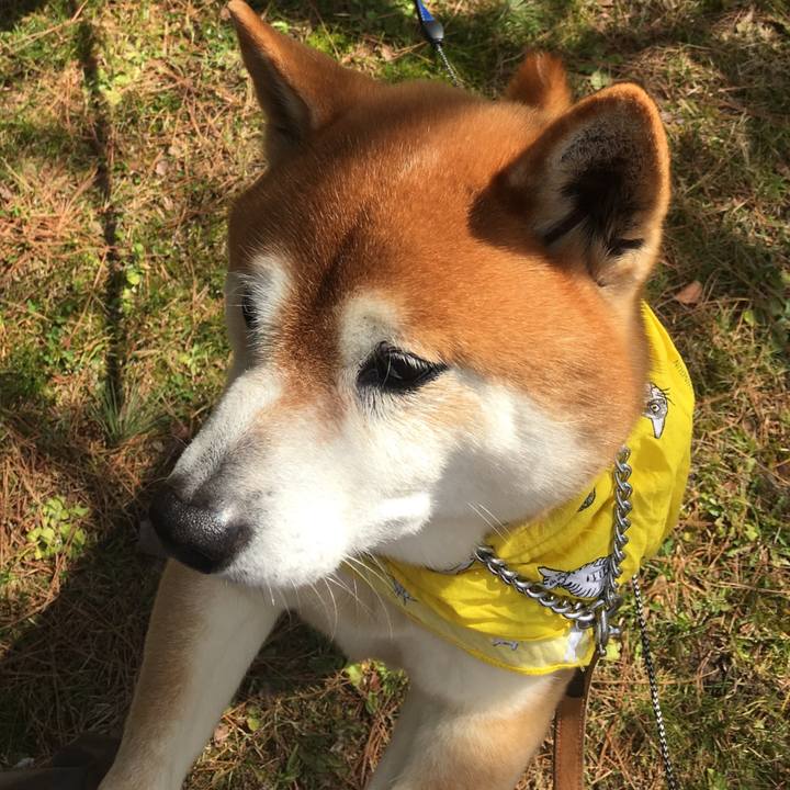 02f4bcff 021c 486e af08 0f09a3cf607d