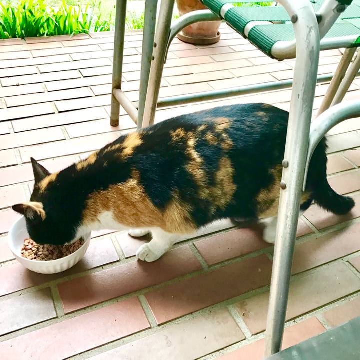 02f4cae6 8623 422a bb80 80945e463bc8