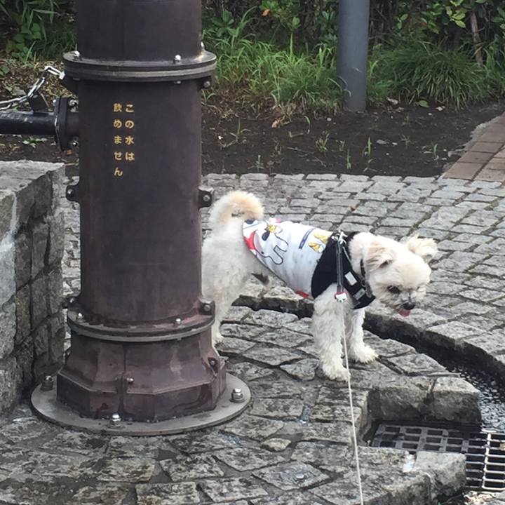 02f52a45 9c78 4601 b806 dbafb20991b3