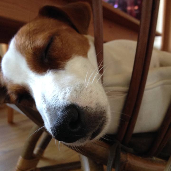 02f5a1f9 9aae 4071 a854 ac99d7b854b8