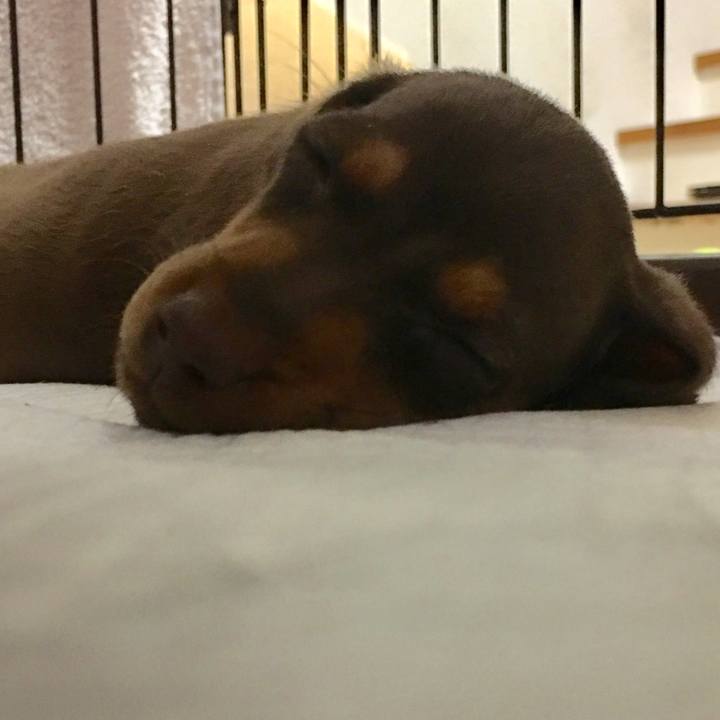 02f5c1fc 7e6a 4d3e 8621 eb4264a4d196