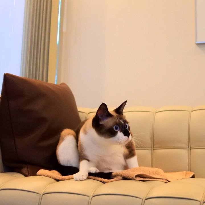 02f6b98e 3826 40f8 b52d 72b561041f7e