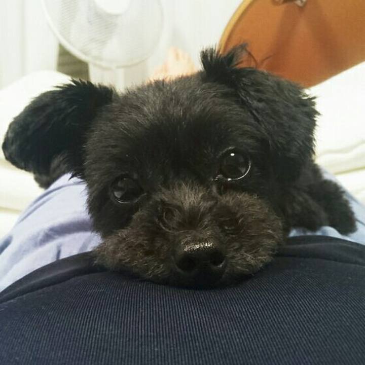 02f6efad ff98 4acc ba7f 94e44c848caa