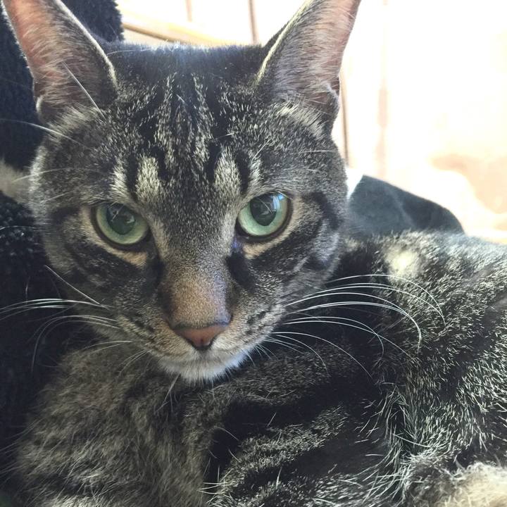 02f89cbd 8ce5 4fca 978e be0b1500d53c