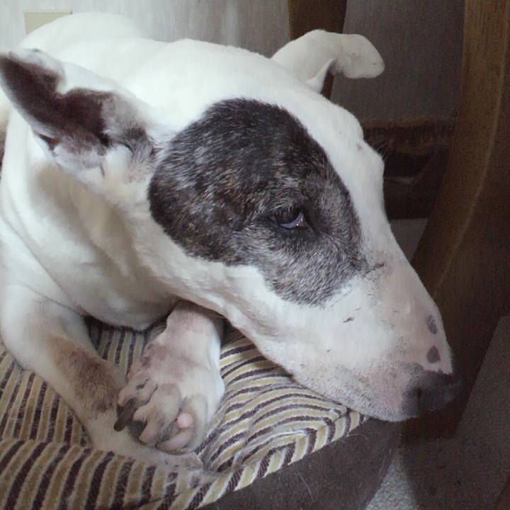 02f950da 3c6f 4227 94ad cfad6943ed05