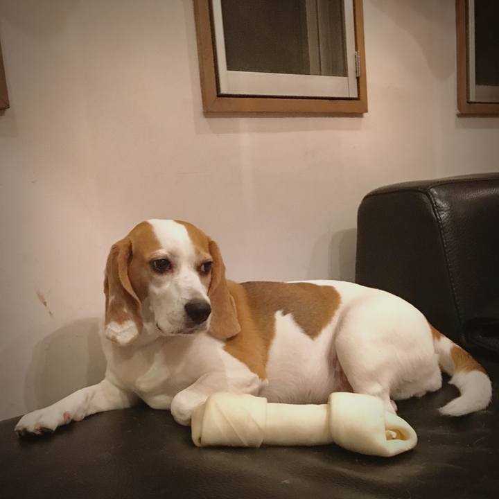 02f969cc 6cdb 4055 a9b2 5b3369d44fb2