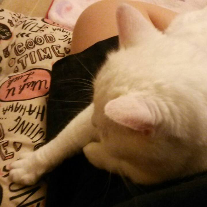 02f97221 3f66 48be bb9d aa5542961d08