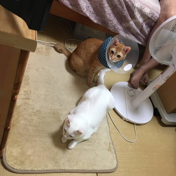 02f9b265 bba3 4314 8d9c 695adf34b7a9