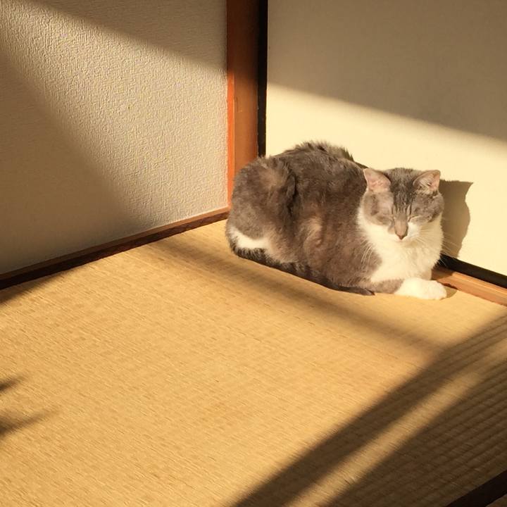 02fa202d a686 4848 8e84 7b352461c378