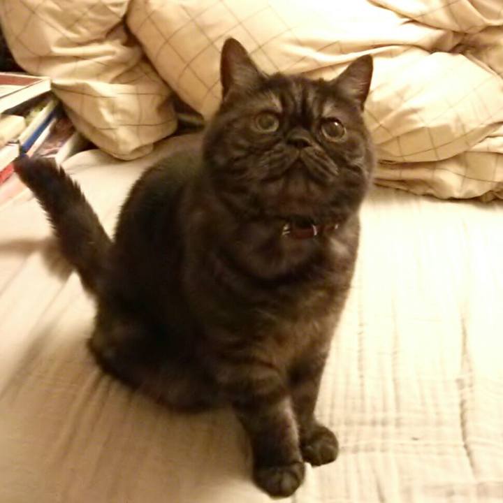 02fa65fc 7303 4967 9f60 b42ee5672d66