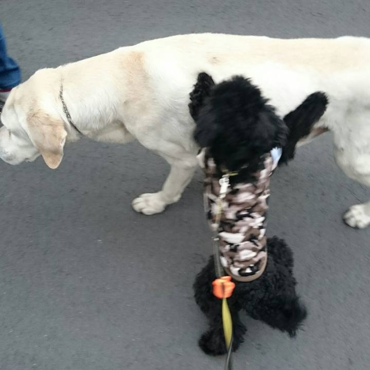 02faf220 0301 4356 9004 766b79328c0c