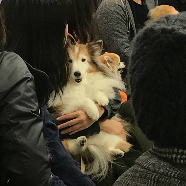 02fb18d3 68d4 4c4e a5c4 e7c283bccb77