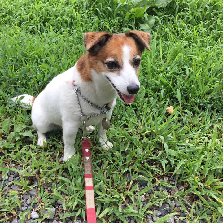 02fb18f8 622c 422f bff8 2e7980b26329