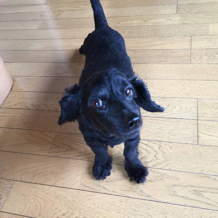 02fb87e6 3071 40d2 8115 a8b005c96dd7