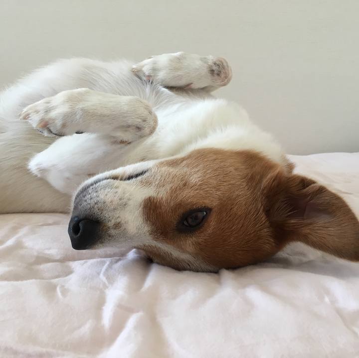 02fc32c9 9953 49ec 92d6 7a9375e8ea4c