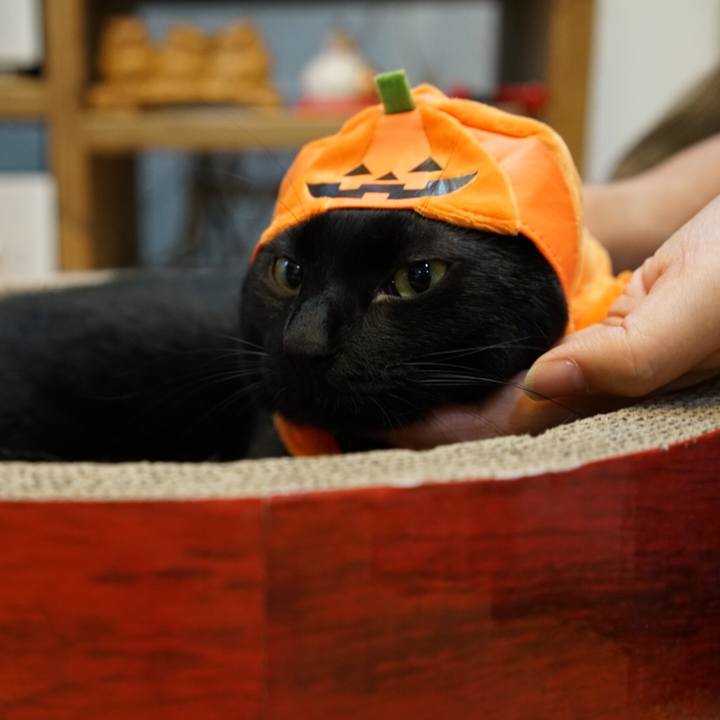 02fcf9e5 b9bd 4016 a1e1 e6d28380a837