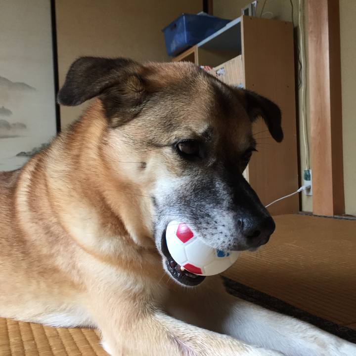 02fd2ca3 47cb 4d61 bb92 14085b60e5bc