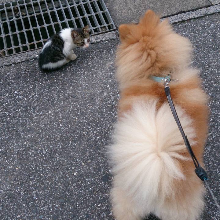 02fd3c4a 0b6f 4886 b834 f85c76a6b6aa