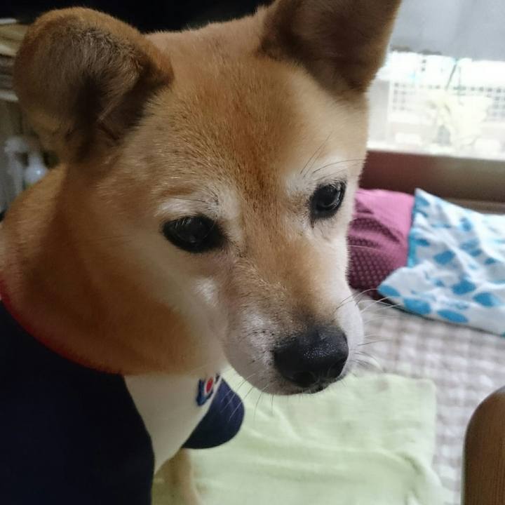 02fda72d 4842 4eb6 a322 1b69dc4c02f6