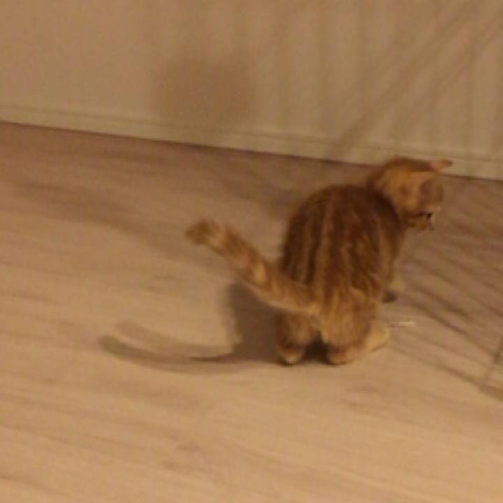 02fe2048 de4e 4fc8 b8a2 2e3e9da3fadd