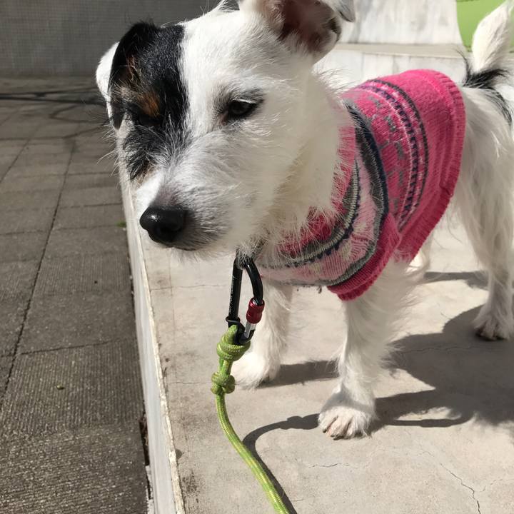 02ff26f6 1c43 4725 8bf1 4c356baae4d9