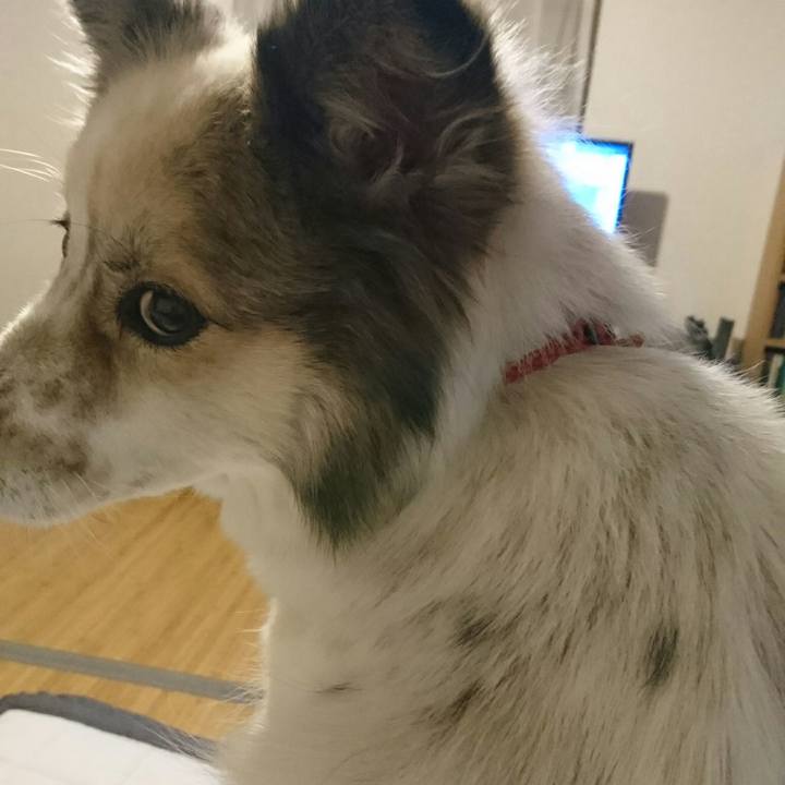 02ff9325 a81f 4dd7 8756 b254920d70fe