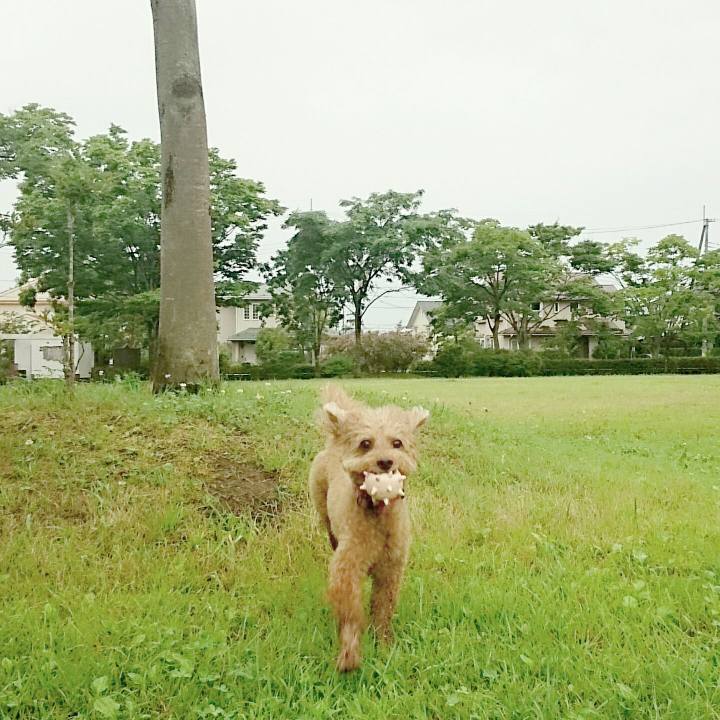 02ff9acf e7b3 4316 9337 ae54d1db6d7f