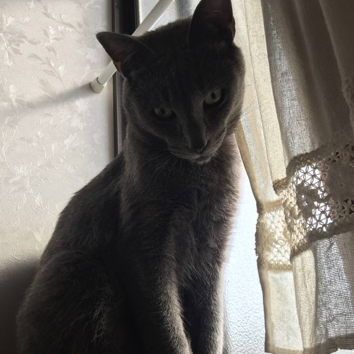 03000611 6fd1 4bba 85c9 9450c9ab2bc0