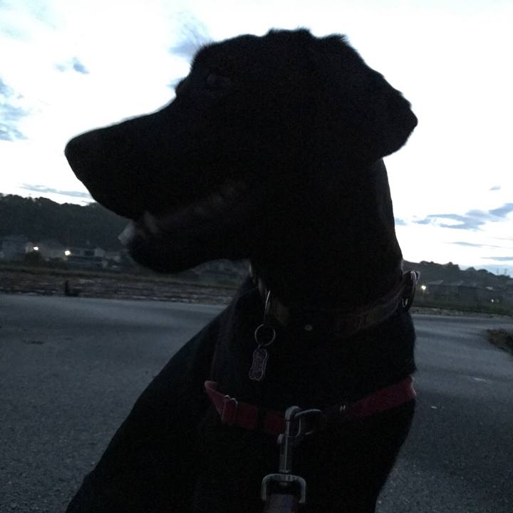 03000bdf 3bfd 49a4 84c4 9ea063740b33