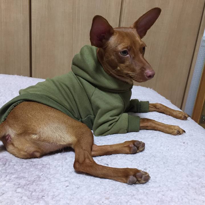 03006120 ce12 4c4e 977a b1750cc0c7d8