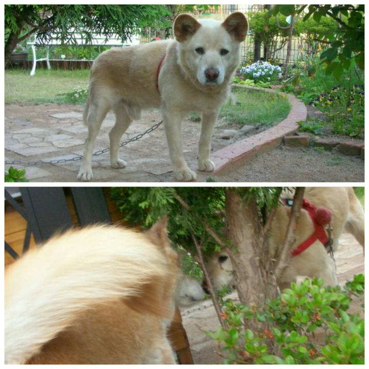 0300b25e 7ef6 4ea8 807a 63784e697c80