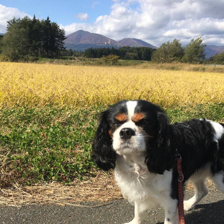 0300fe47 dc94 429d affa 6d26f37faa78