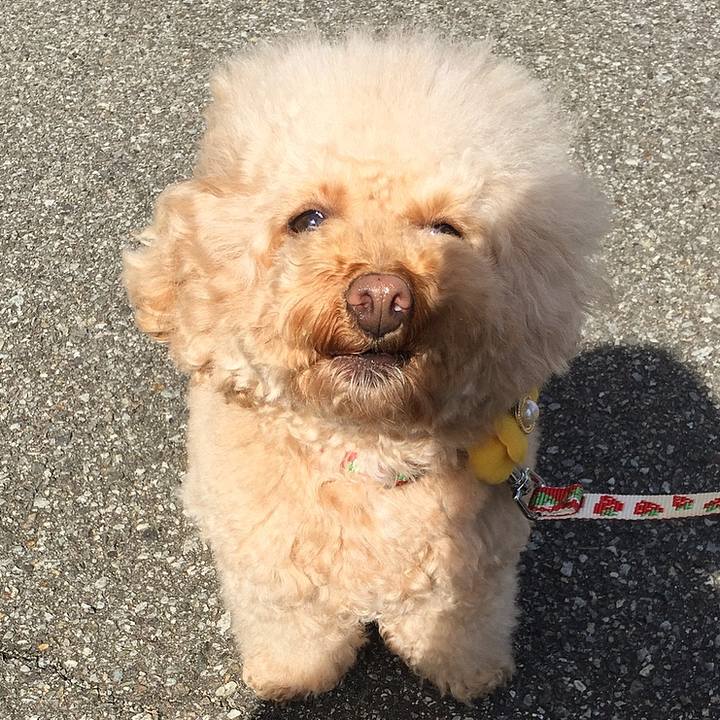 03022102 971d 41e1 a863 6e64ccbc461b