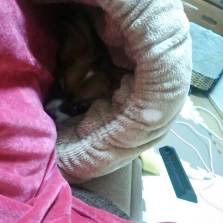 0302b256 049d 495c ad8e 42dd9ee390b5