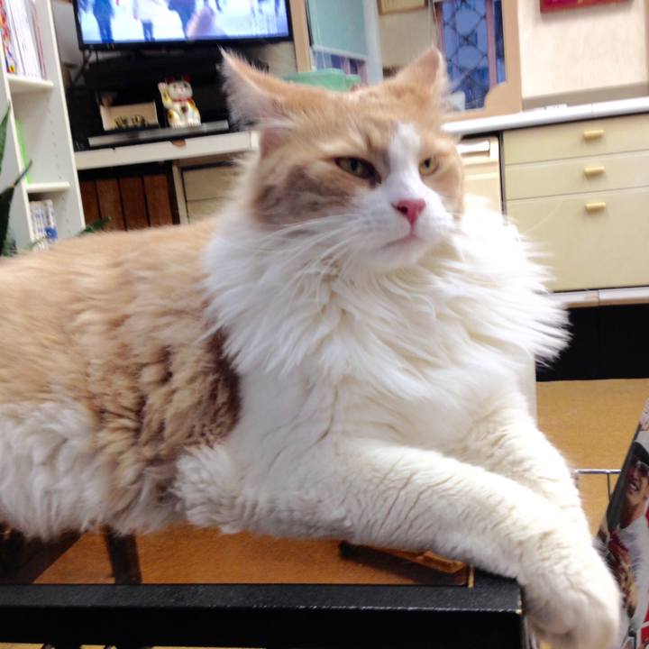 03035360 0fe9 432d a669 74fcf734cce6