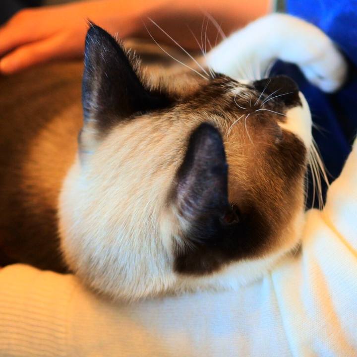 030506d9 7375 4ddb ab4a 2dcbac52698c