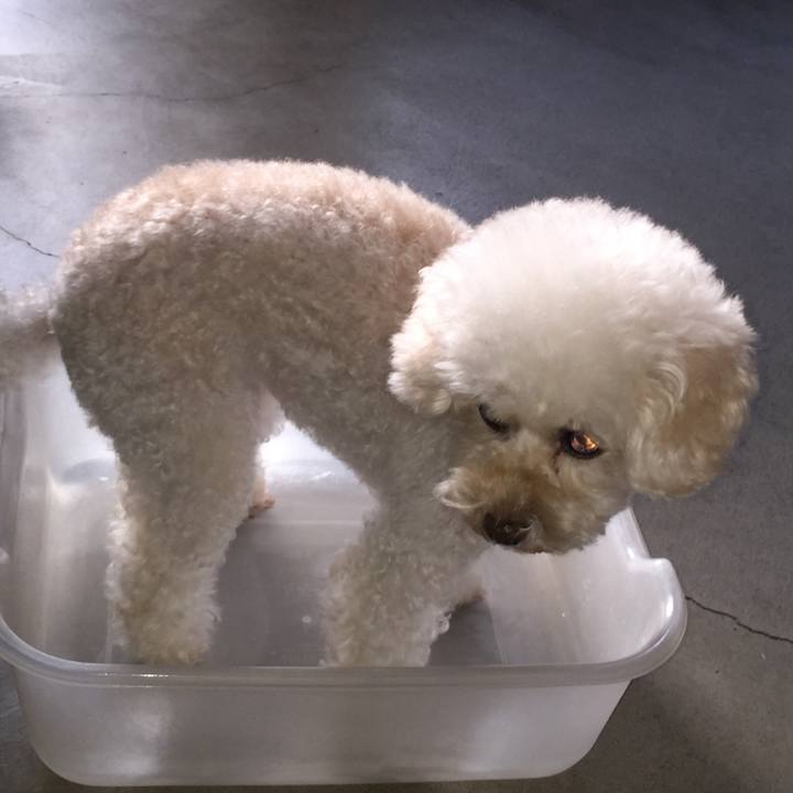 03050ebb d522 4bf8 a3a6 adb6c1d1d86f