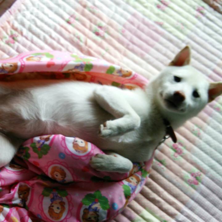 03054e1f 7afd 48ab a5f6 1751b2689dbb