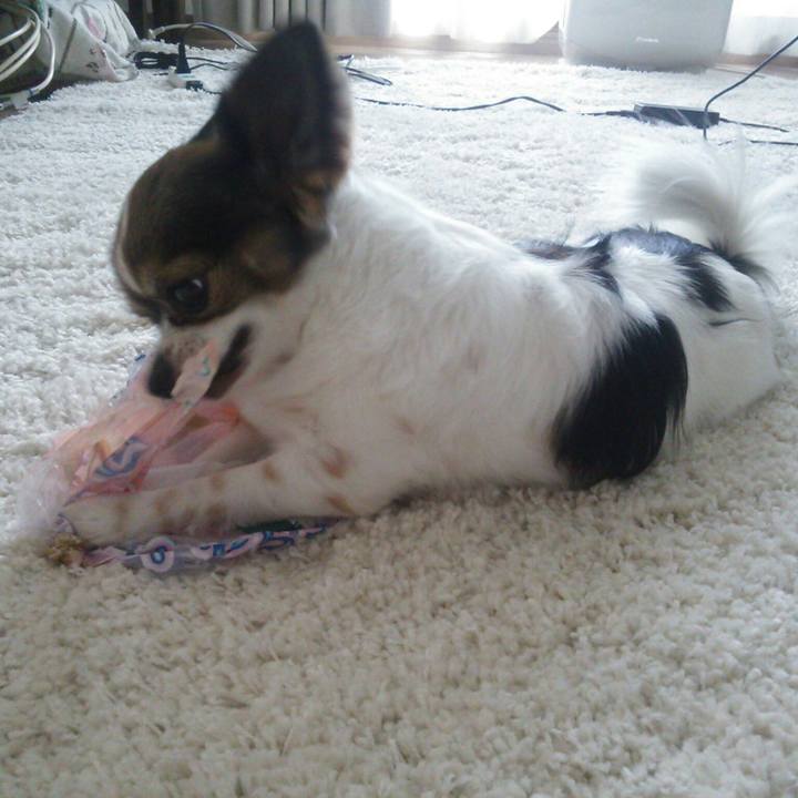 03060c56 96a5 4089 bf7d 87ed282be050