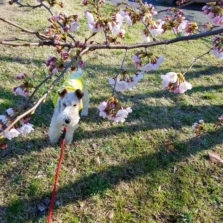 03061009 6cae 4cd1 845c 8dcee704a688