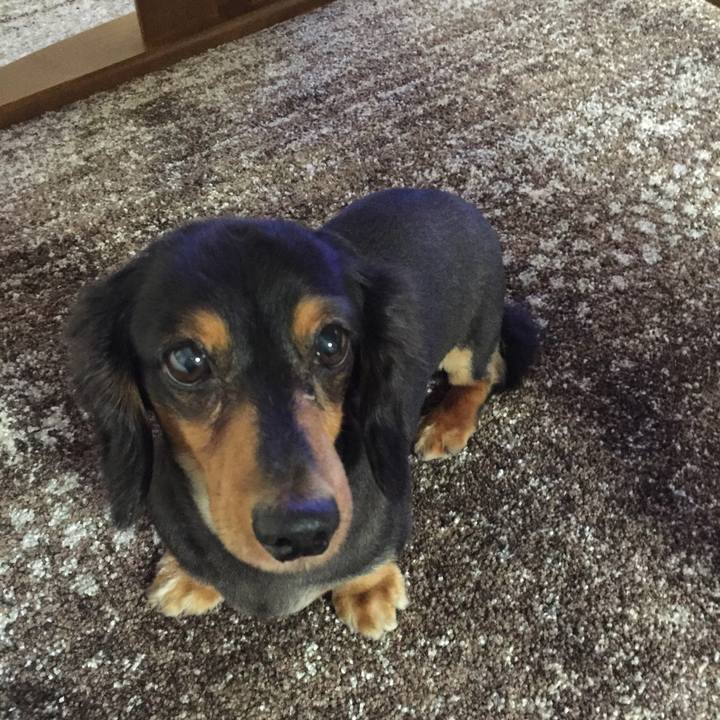 030619f7 f4a8 4719 b01e b76e9f592400