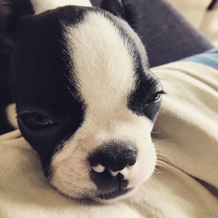 0306e8f8 4af1 414b bc9b 776cfb2db64d