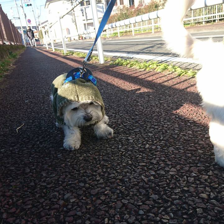 03077b65 3e39 46dc 98b4 9918802d8927