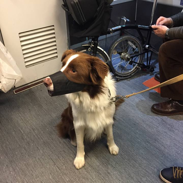 0307b5cc eca8 4141 aafb b3747971067f