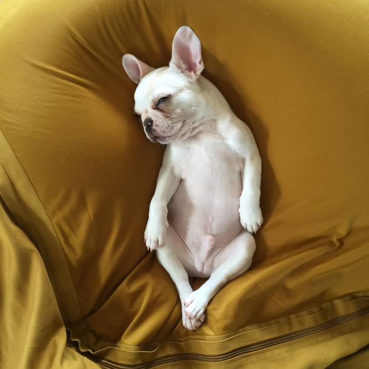 030857be ffe4 4d93 81fc 14a2a1db80ec