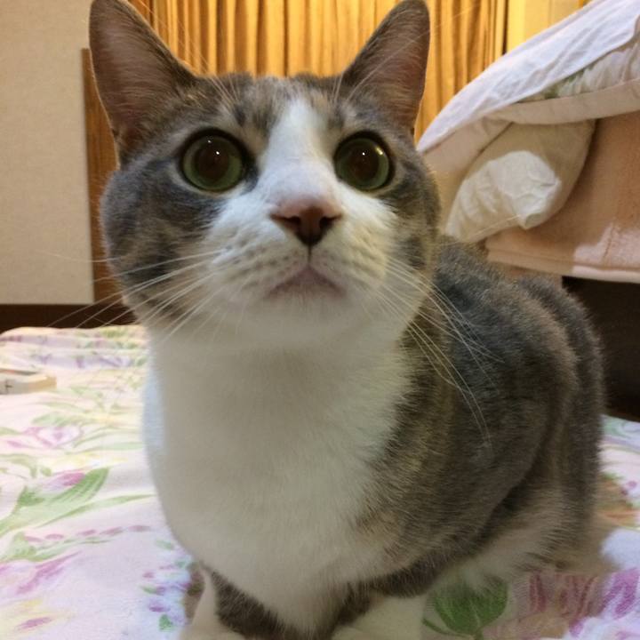 0308eddf 6387 457d 8bc6 edab379cf960