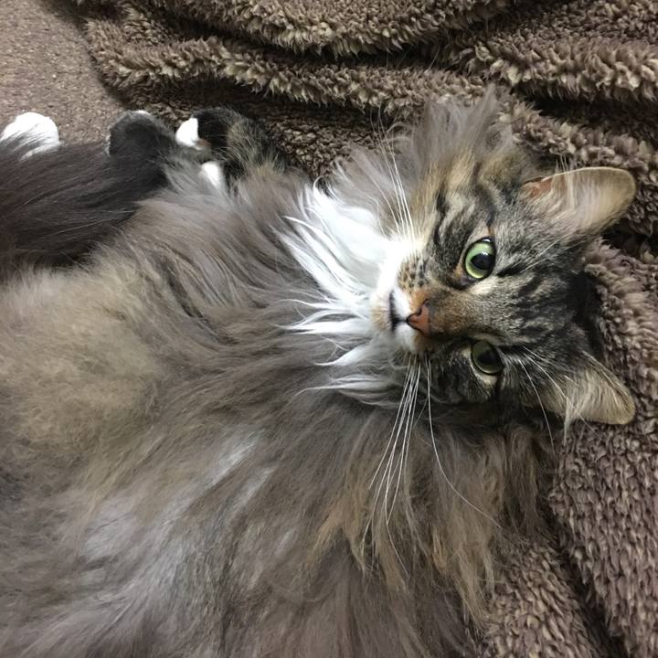 0308fd76 aa85 4386 8f17 a43d18f650f5